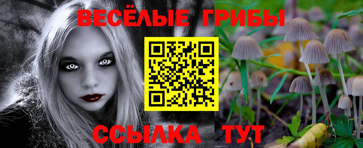купить закладку  Вход с VPN  Сорочинск  Псилоцибиновые грибы Magic Shrooms  Галлюциногенные грибы Cubensis 